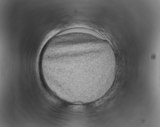 X0000116850104201001191649