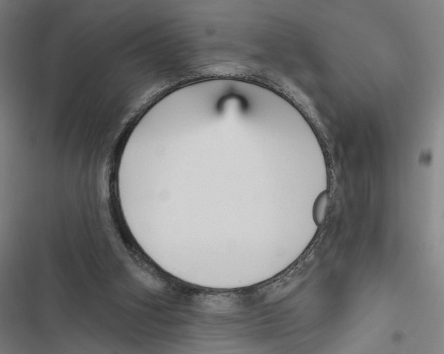 X0000116850106201001191649