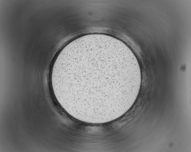 X0000116850107201001191649