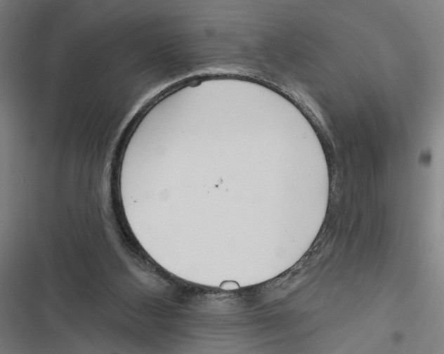 X0000116850108201001191649