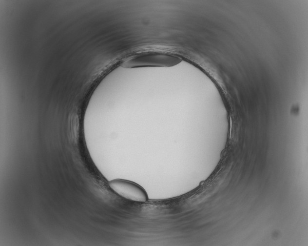 X0000116850109201001191649