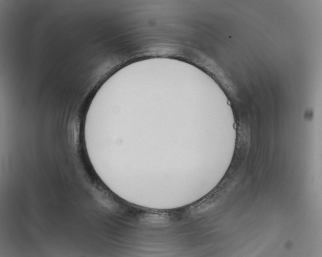 X0000116850110201001191649