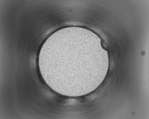 X0000116850111201001191649