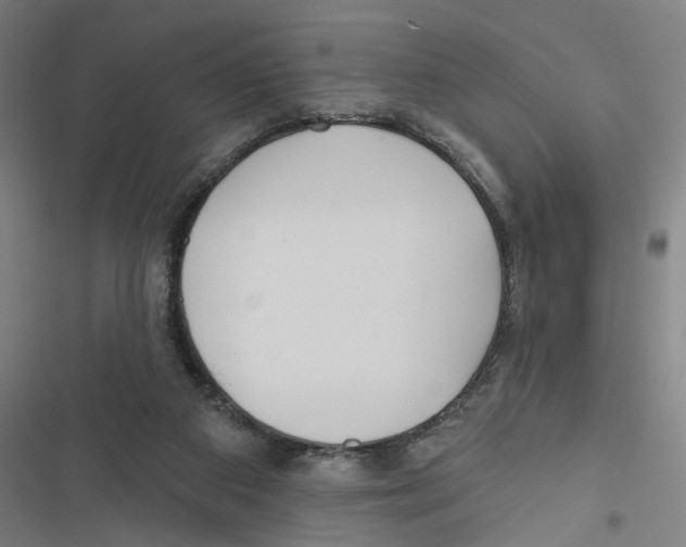 X0000116850113201001191648