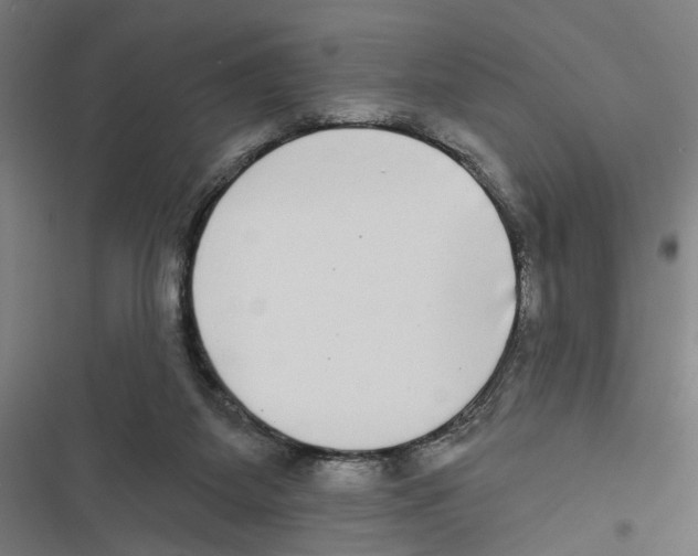 X0000116850115201001191648