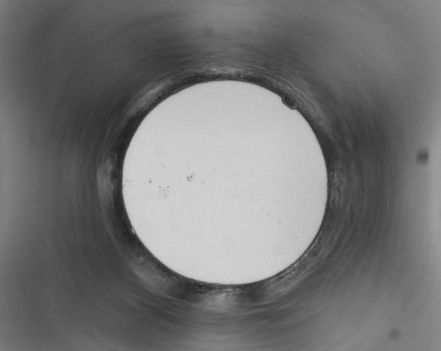 X0000116850116201001191648