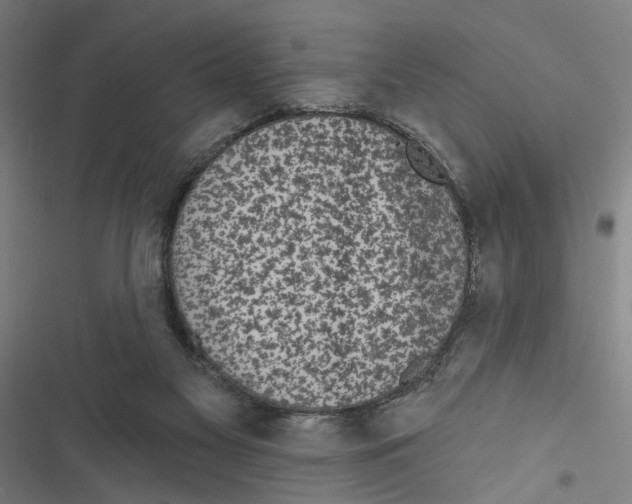 X0000116850117201001191648