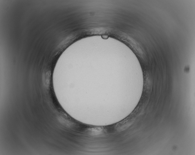 X0000116850118201001191648