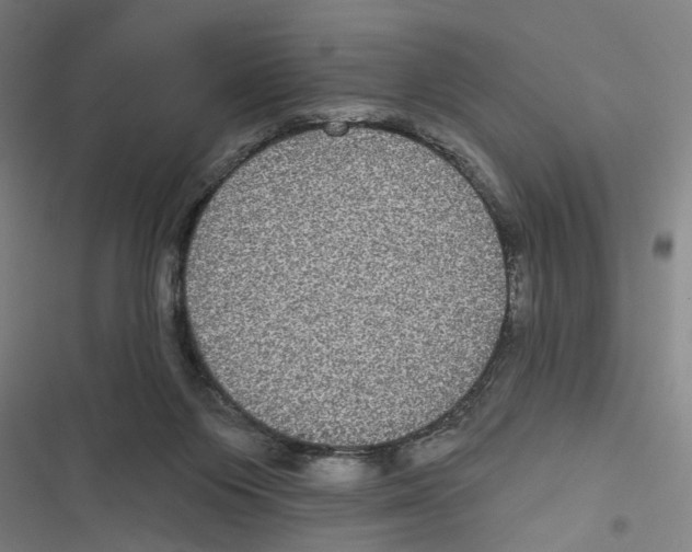 X0000116850119201001191648