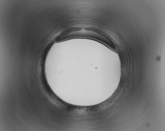 X0000116850120201001191648