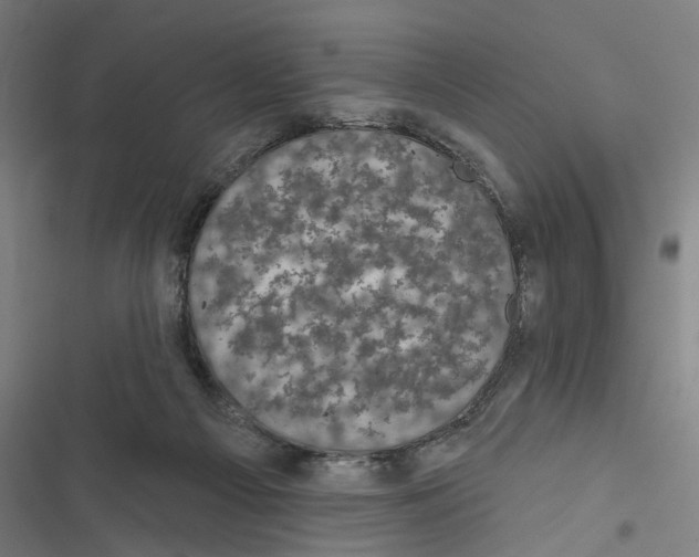X0000116850121201001191648