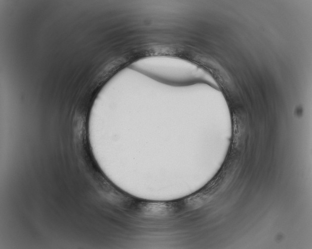 X0000116850123201001191648