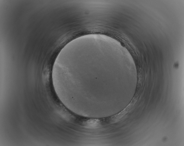 X0000116850124201001191648