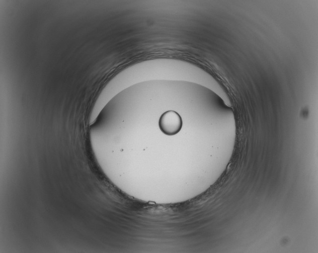 X0000116850125201001191648