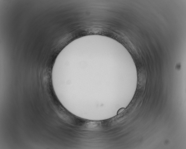 X0000116850126201001191648