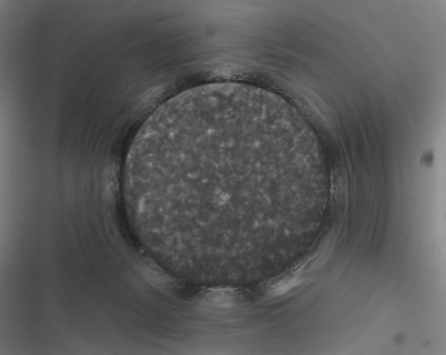 X0000116850127201001191648