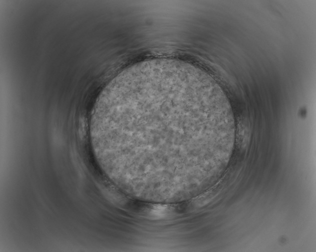X0000116850130201001191648