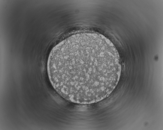 X0000116850131201001191648