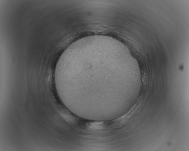 X0000116850132201001191648
