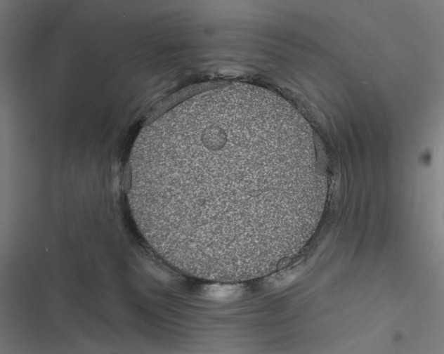 X0000116850135201001191648