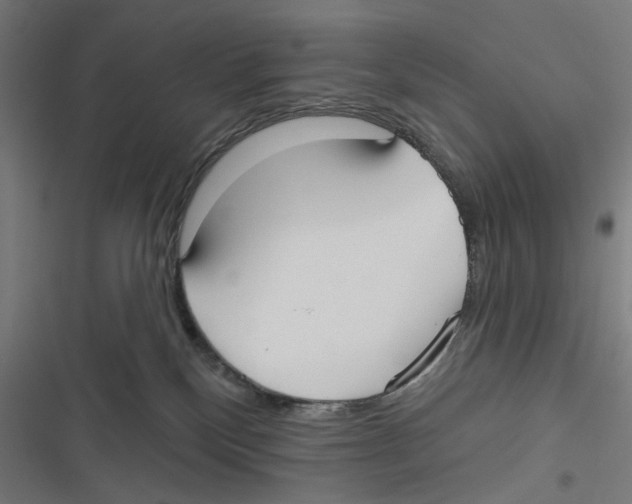 X0000116850136201001191648