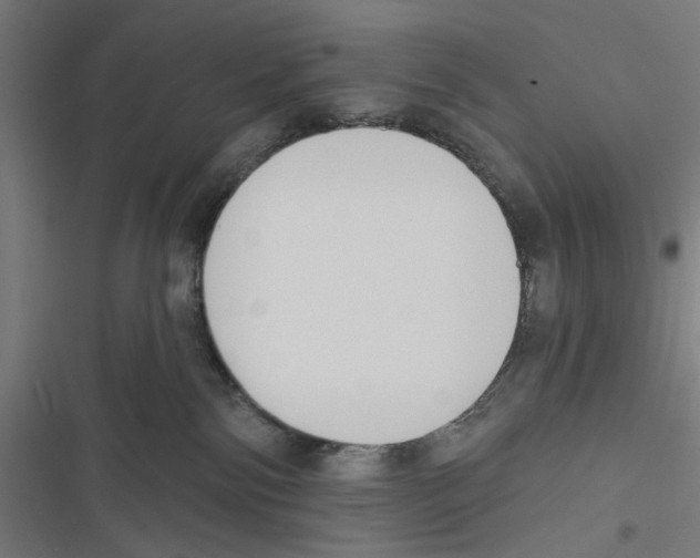 X0000116850138201001191648