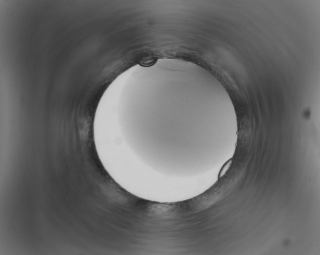 X0000116850139201001191648