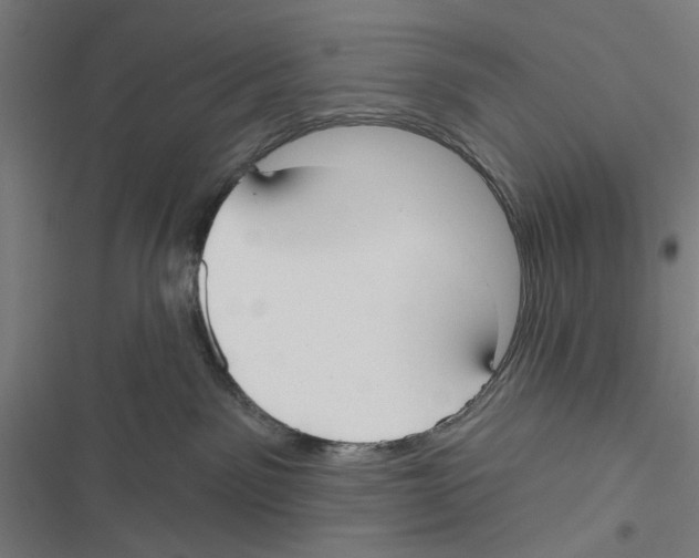 X0000116850141201001191648