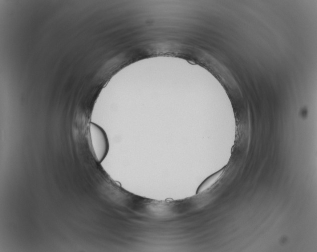 X0000116850142201001191648