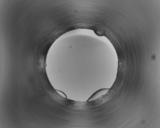 X0000116850143201001191648