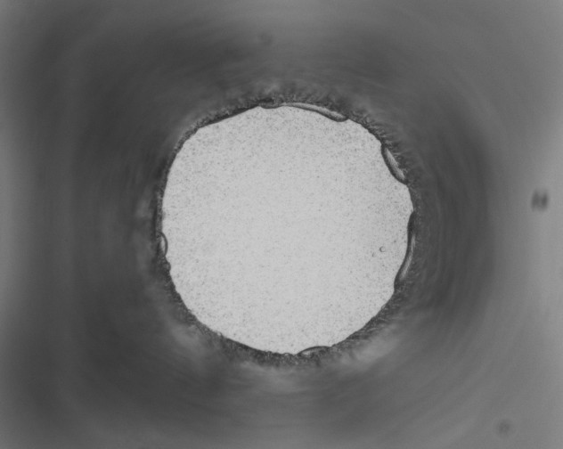 X0000116850144201001191648