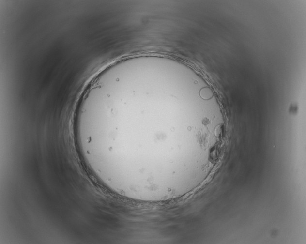 X0000116850146201001191647