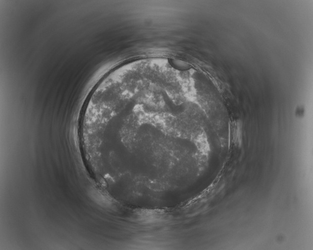 X0000116850147201001191647