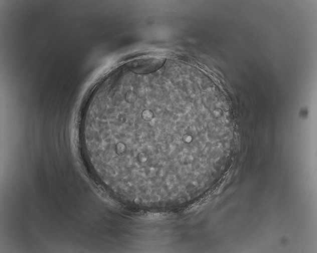 X0000116850149201001191647