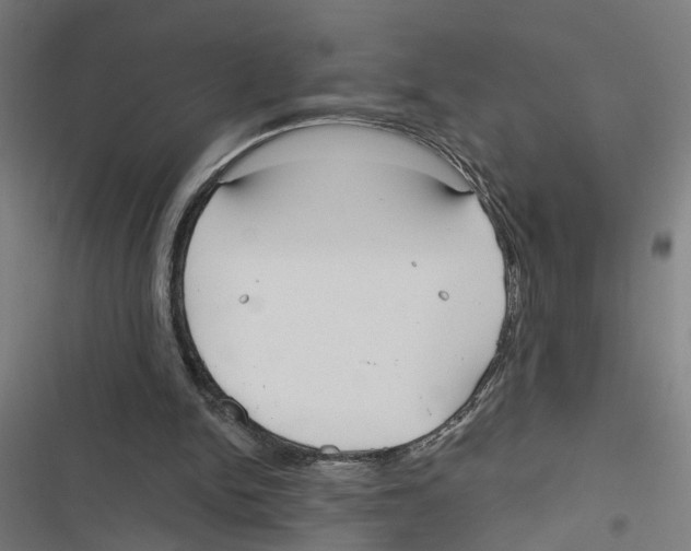 X0000116850150201001191647