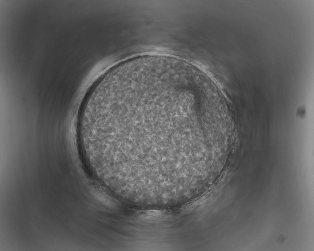 X0000116850151201001191647