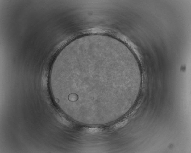 X0000116850153201001191648