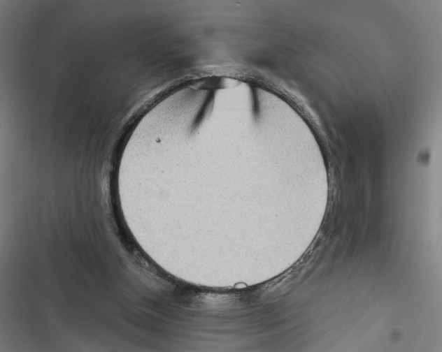 X0000116850154201001191648