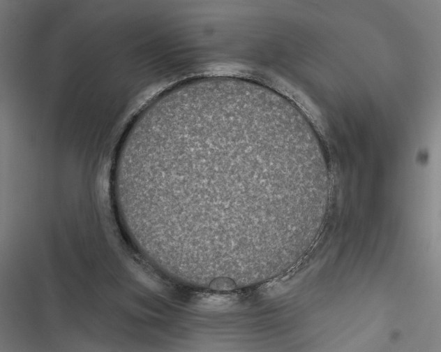 X0000116850155201001191648