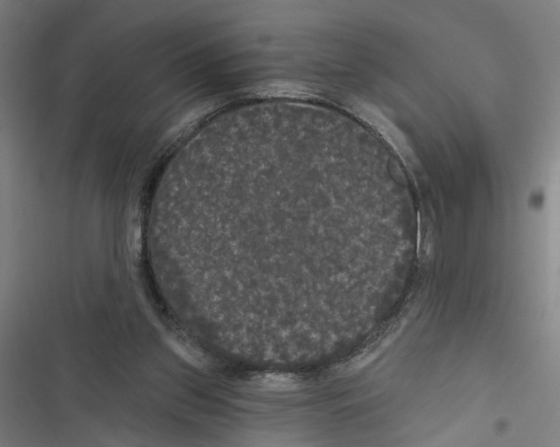 X0000116850157201001191648