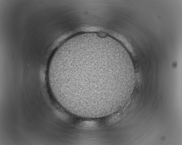 X0000116850159201001191648