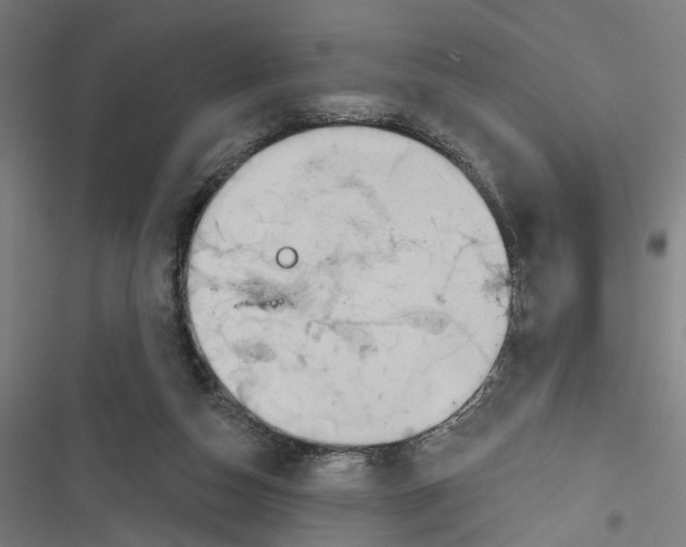 X0000116850162201001191648