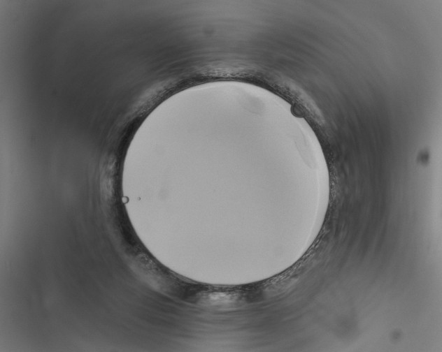 X0000116850163201001191648