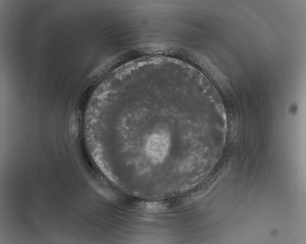 X0000116850165201001191648