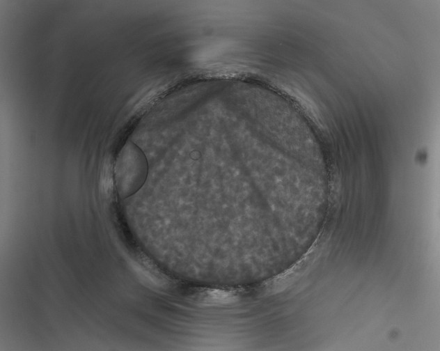 X0000116850166201001191648