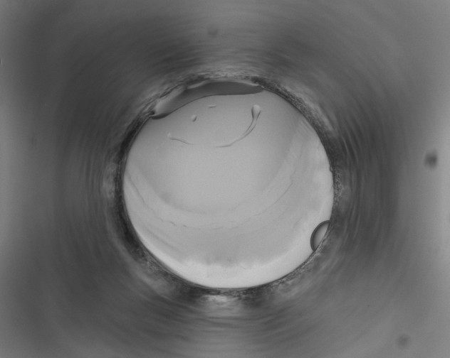 X0000116850167201001191648