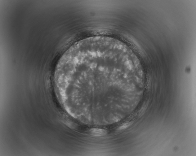 X0000116850169201001191648