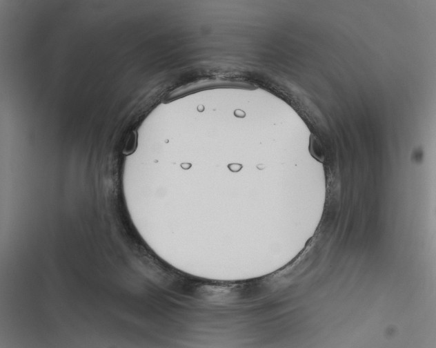 X0000116850170201001191648