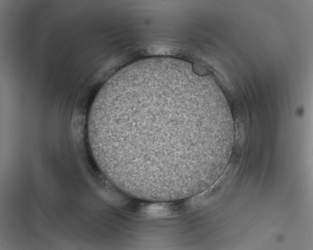 X0000116850171201001191648