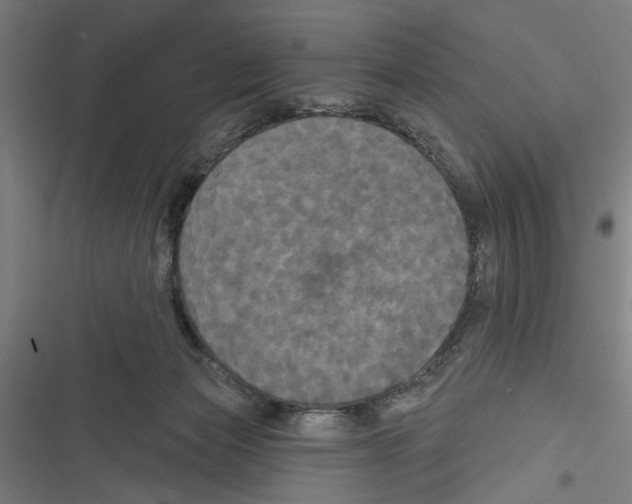 X0000116850173201001191648